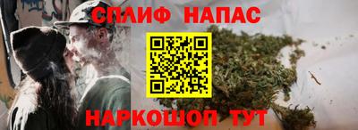 стаф Моздок